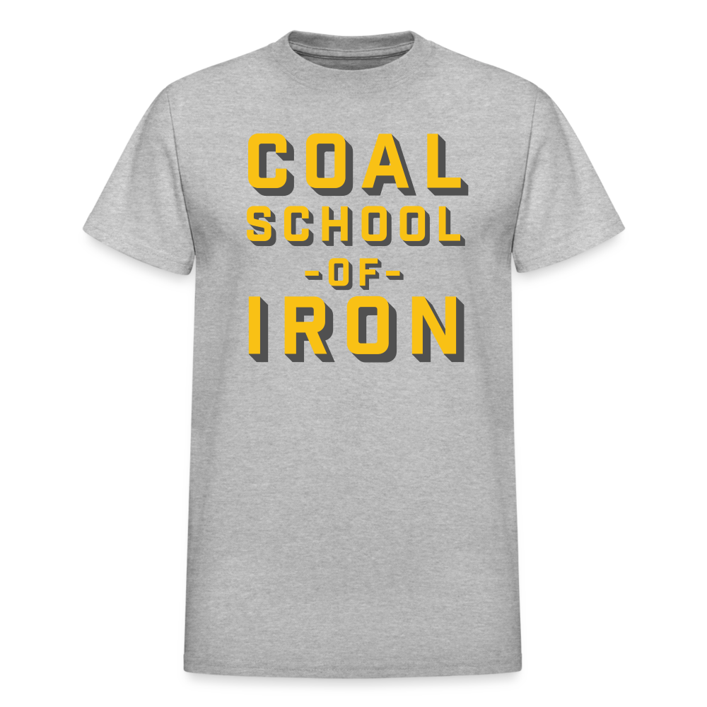 Coal School Heavyweight Tee - heather gray