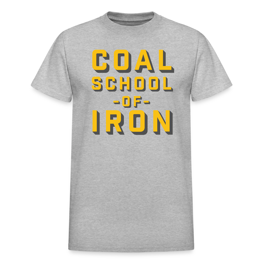 Coal School Heavyweight Tee - heather gray